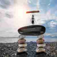 ssl证‌书​认‍证​过‍程‍