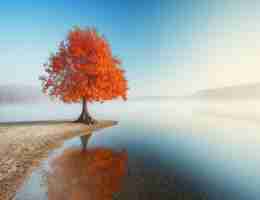 kubernetes权​威​指​南‌